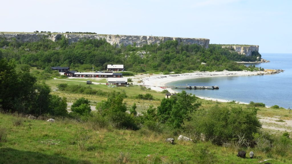Hamnen