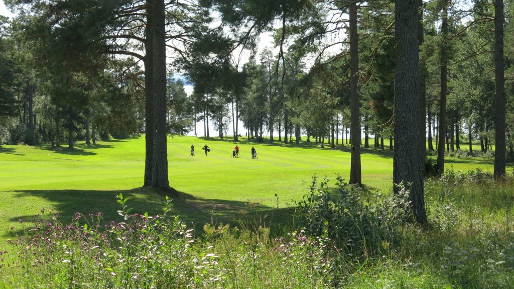 Vy över Östersund-Frösön Golfklubb.